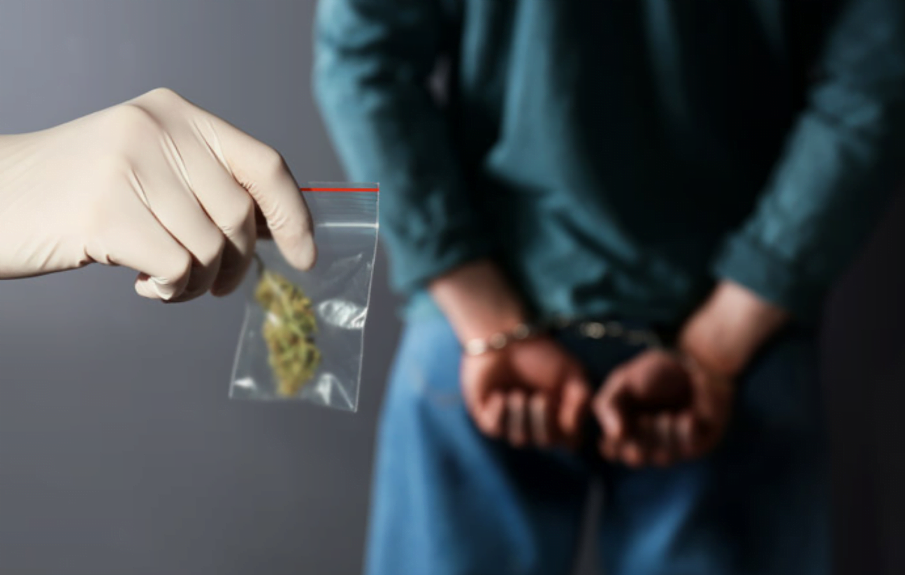 Percheziții în Ialoveni: plante de cânepă și aparate pentru droguri descoperite la un bărbat de 60 de ani