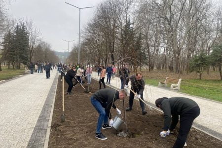 Ion Ceban: Împreună cu mai mulți tineri am plantat „Aleea Tinerilor în Parcul „La Izvor”
