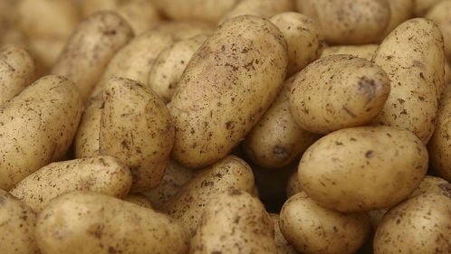 2.500 de kg de cartofi nedeclarați au fost depistați la vama Leușeni