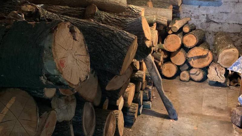 Un bărbat din Călărași a furat de la Ocolul Silvic din raion, dar a fost găsit de polițiști