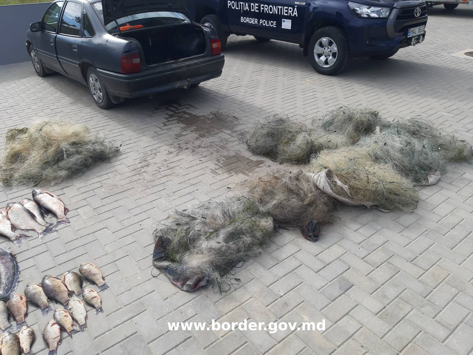Circa 40 kg de pește, prins ilegal în apele de frontieră