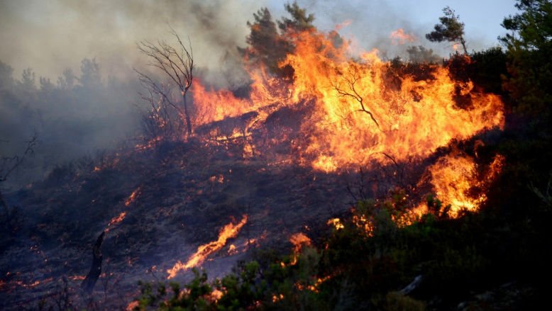 Crește bilanțul morților în Grecia, în urma incendiilor de vegetație
