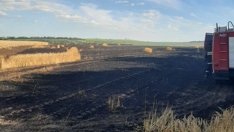 Mai multe hectare de cereale au ars în urma unui incendiu la Anenii Noi