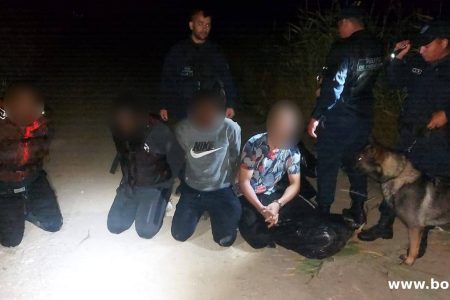 Patru tineri de origine afro-asiatică, depistați la malul Prutului
