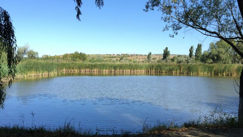 Descoperire macabră în localitatea Fârlădeni: Fragmente de rachetă găsite într-un iaz