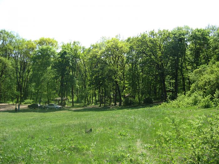 Percheziție în masivul Durlești: Procurorii cercetează acapararea ilegală a terenului forestier