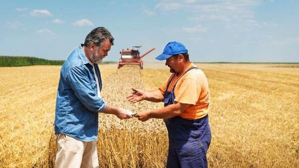 Agricultorii vor accesa mai ușor subvențiile oferite din partea statului
