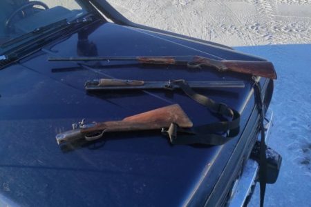 Inspectorii de mediu au demascat o operațiune de braconaj în raionul Teleneşti