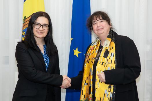 Viceprim-ministra pentru Integrare Europeană, Cristina Gherasimov, a avut o întrevedere cu ambasadoarea Austriei în Republica Moldova, Stella Avallone