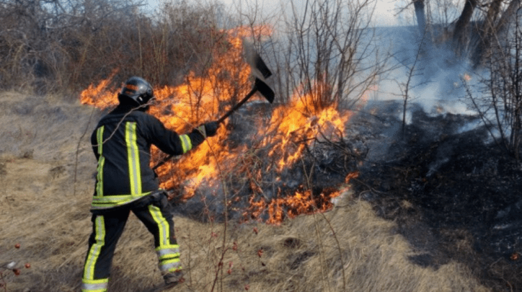 30 de incendii de vegetație au avut loc în ultimele 24 de ore