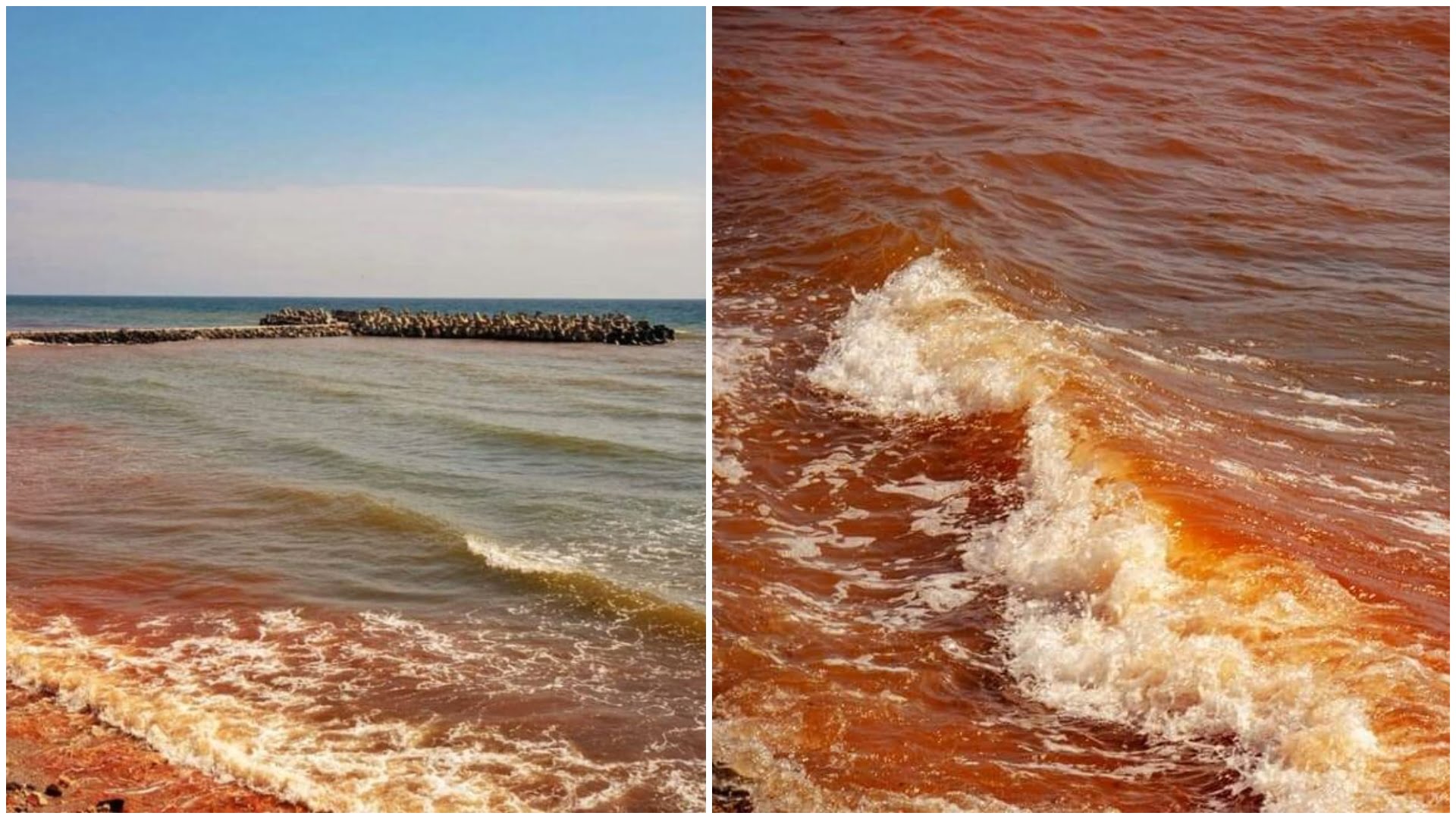 Fenomen spectaculos la Marea Neagră. Apa a devenit roșie