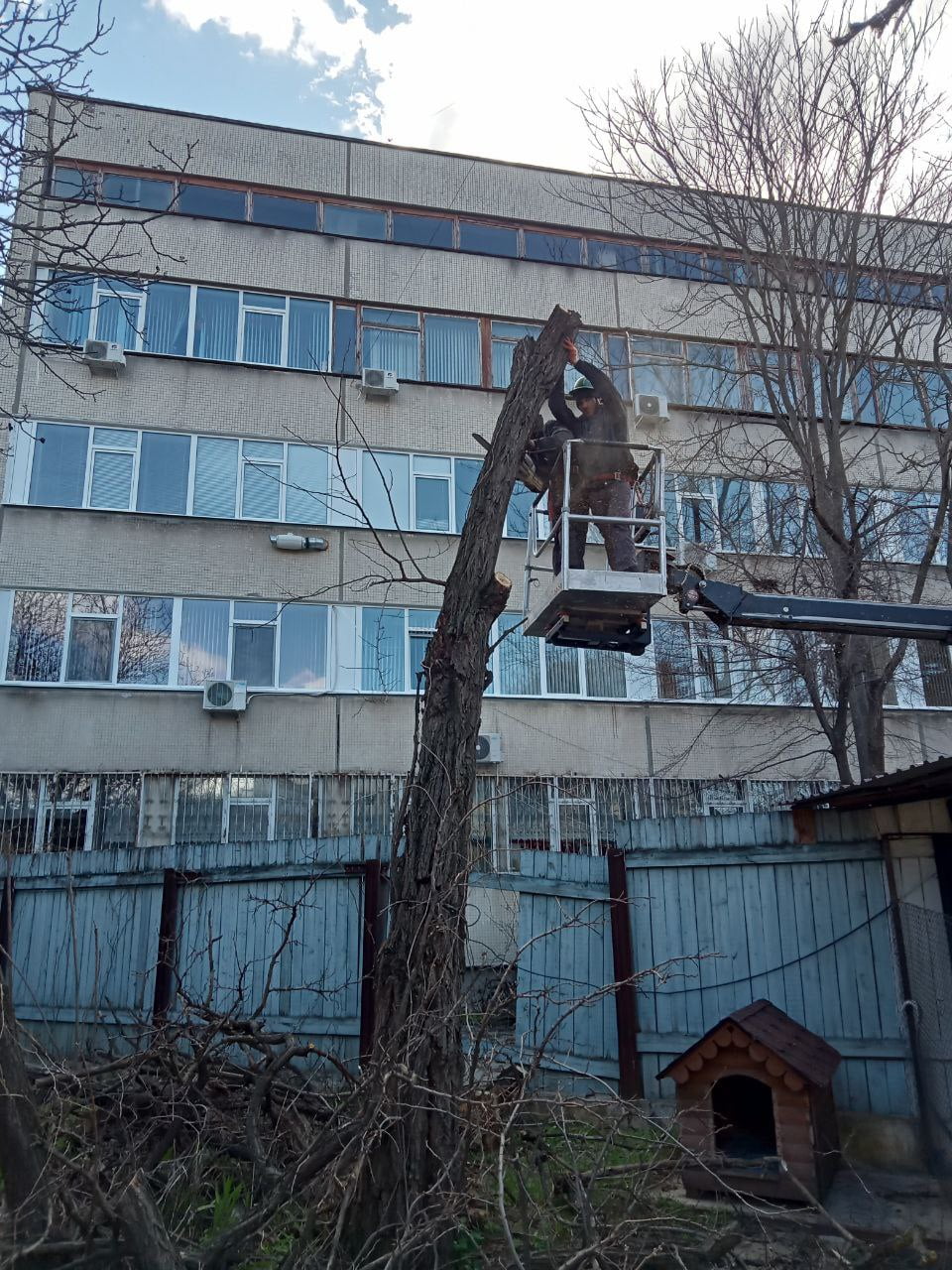 Avertizare municipală: Locuitorii Chișinăului, în alertă din cauza codului galben de vânt