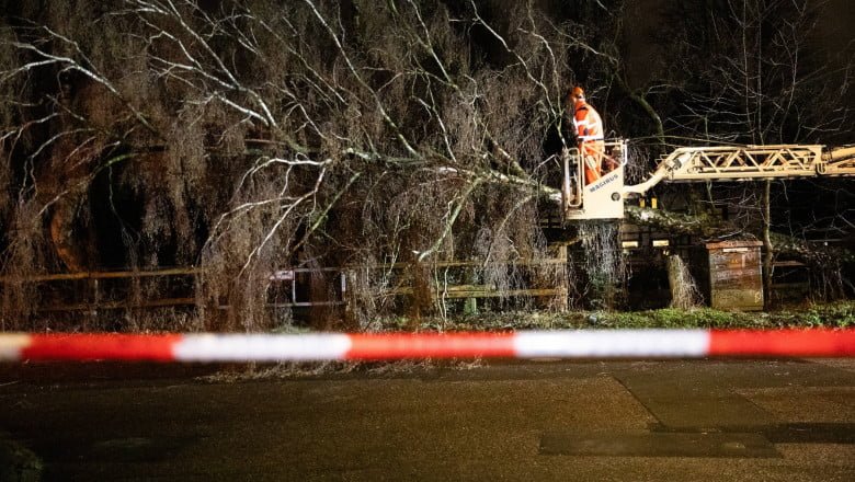 Vântul puternic a provocat moartea a 5 oameni în Polonia
