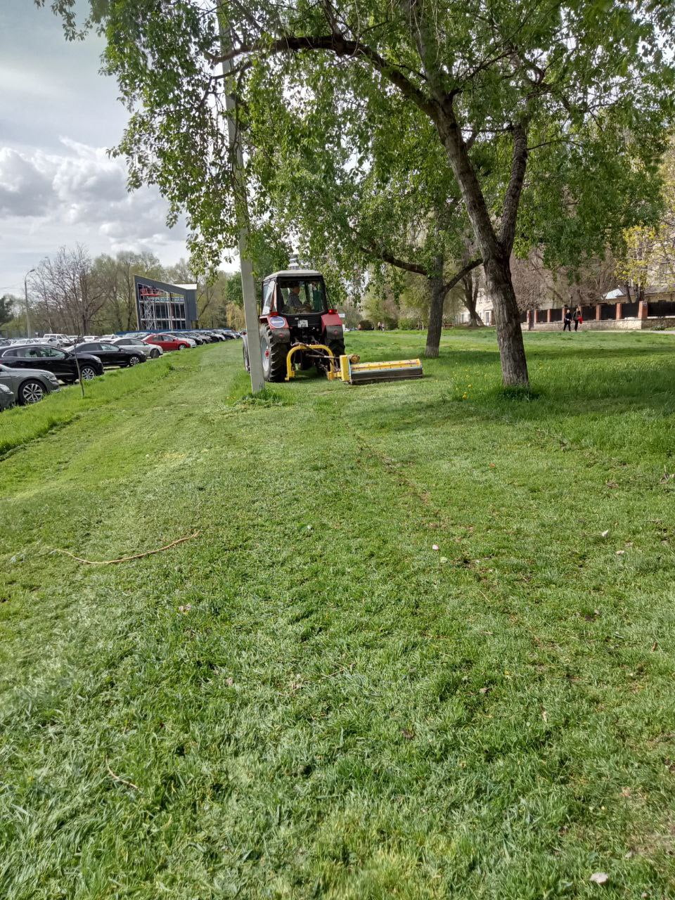 Primăria Chișinău anunță continuarea lucrărilor de îngrijire a spațiilor verzi din oraș