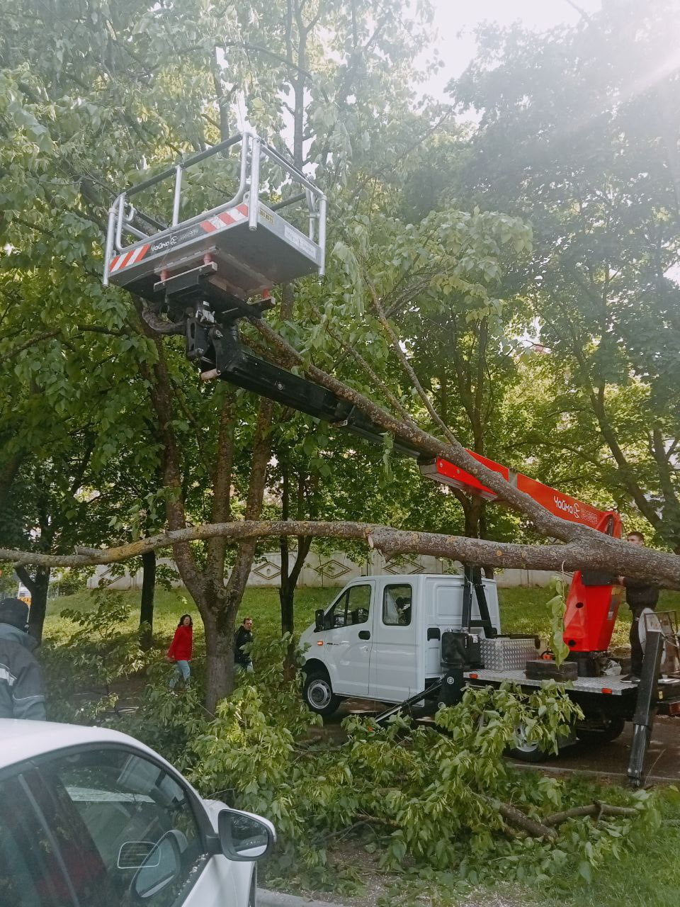 La datorie. Angajații Î.M. „Asociația de Gospodărire a Spațiilor Verzi” înlătură crengile și arborii doborâți de vânt
