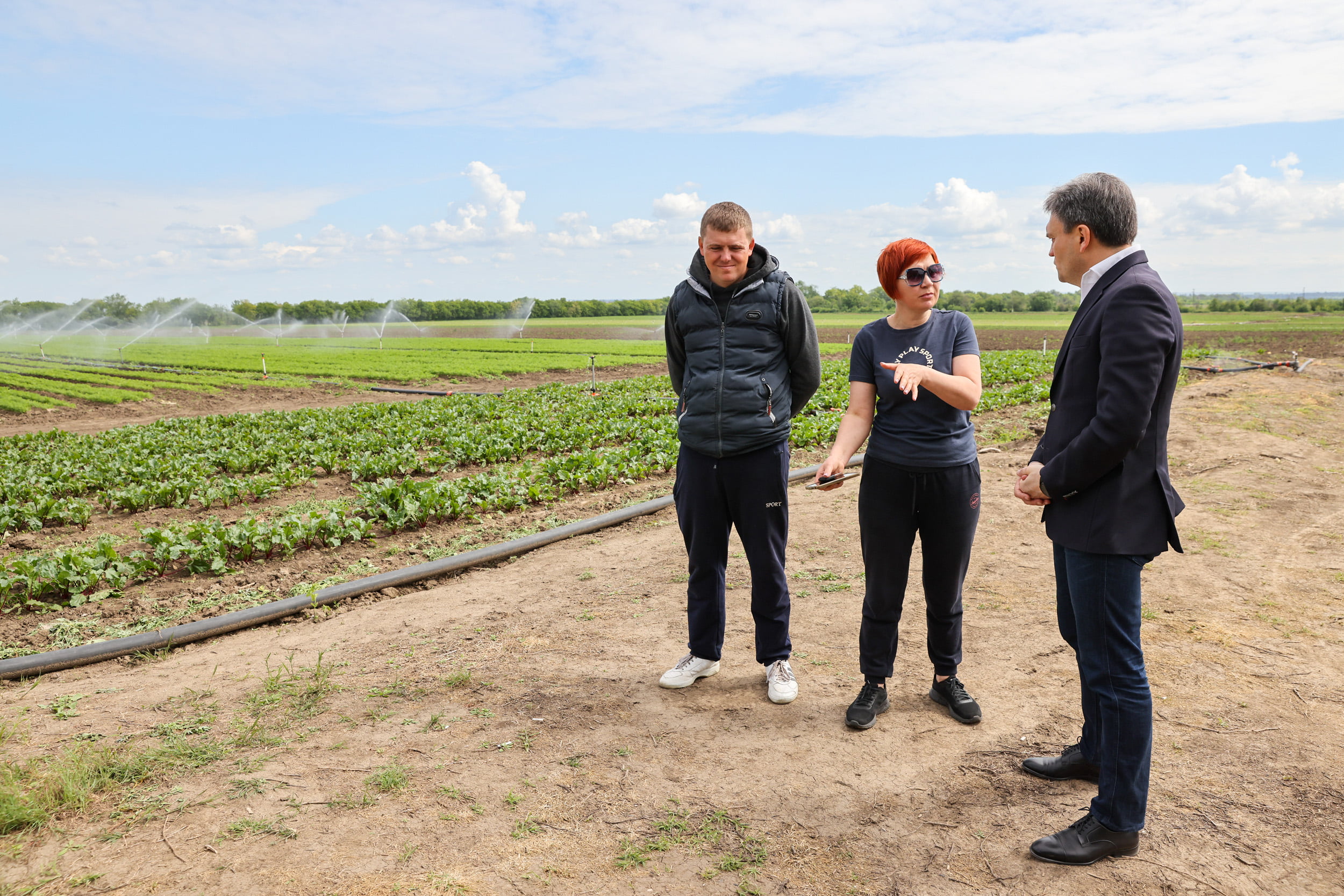 De la contabilitate, la legumicultură. O afacere agricolă din raionul Anenii Noi, vizitată de premierul Dorin Recean