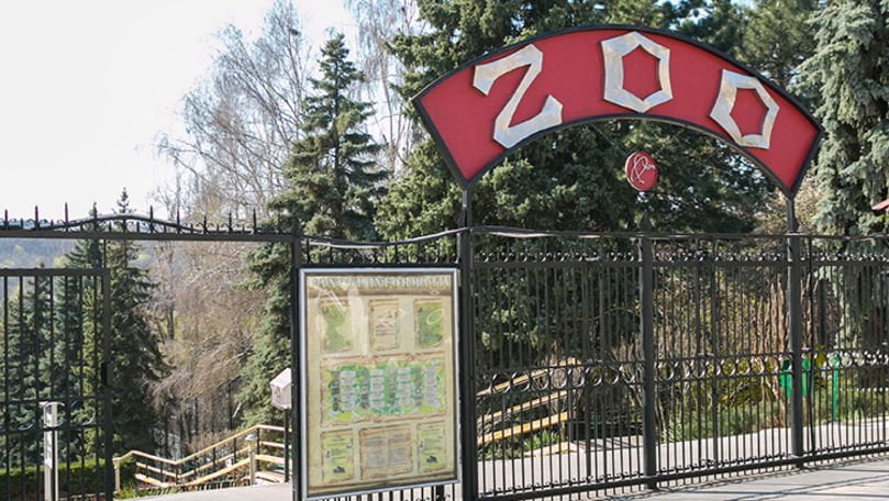 De Ziua Copilului, la Grădina Zoo și la Î.M. Regia „Autosalubritate” vor fi organizate Ziua Ușilor Deschise. Ceban: „Intrarea va fi liberă pentru toții copiii”