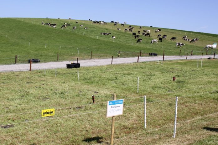 Kazahstan anunță construcția celei mai mari ferme de bovine din țară
