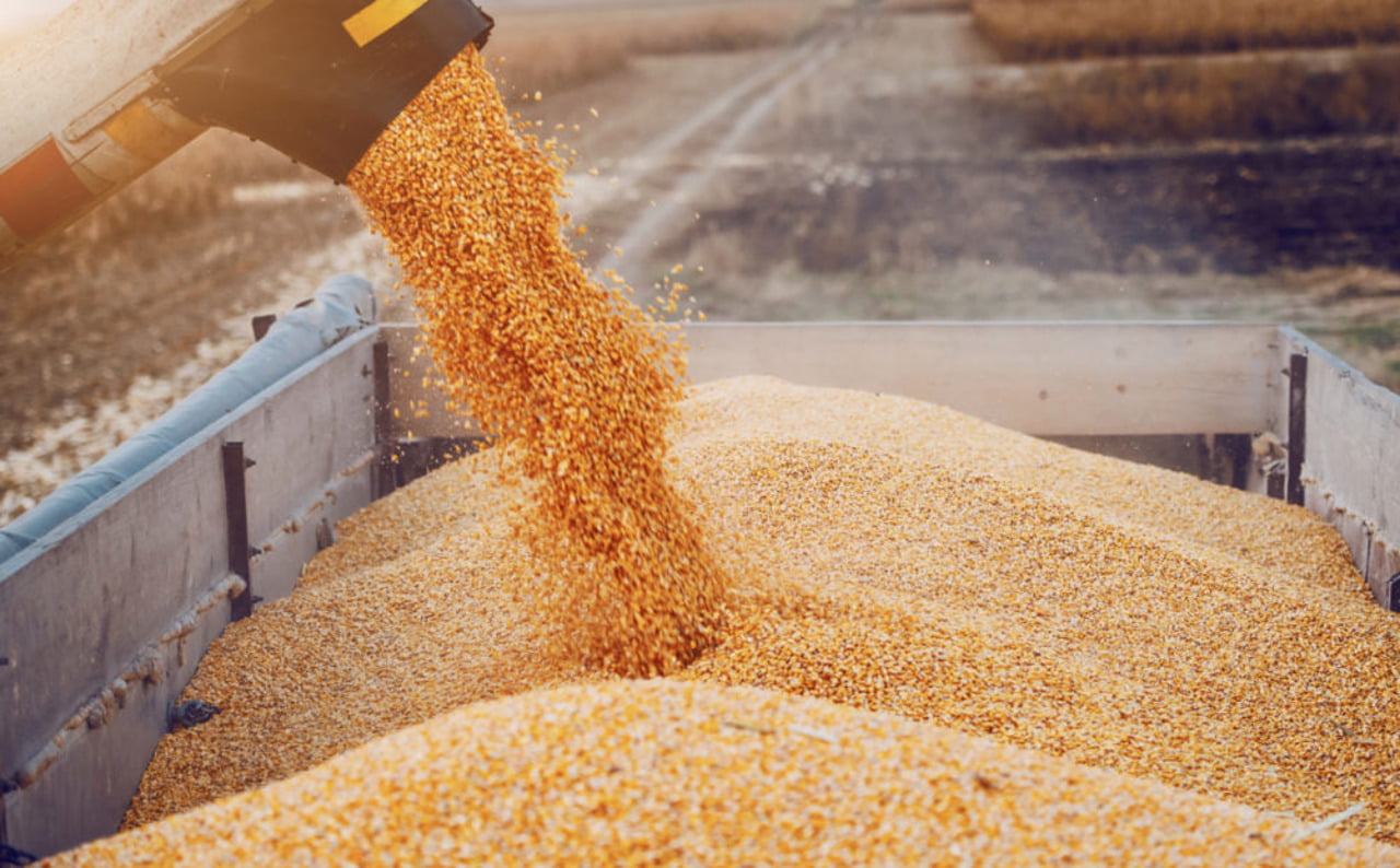 Republica Moldova exceptează cerealele din Ucraina de la controlul alimentar în tranzit