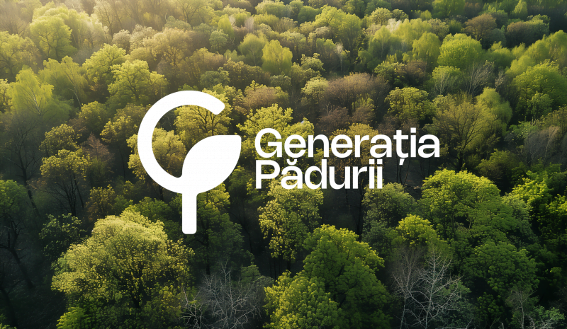 De Ziua Internațională a Mediului șefa statului a accentuat necesitatea împăduririi și a oferit mai multor angajați ai Agenției „Moldsilva” și întreprinderilor silvice medalia „Meritul Civic”