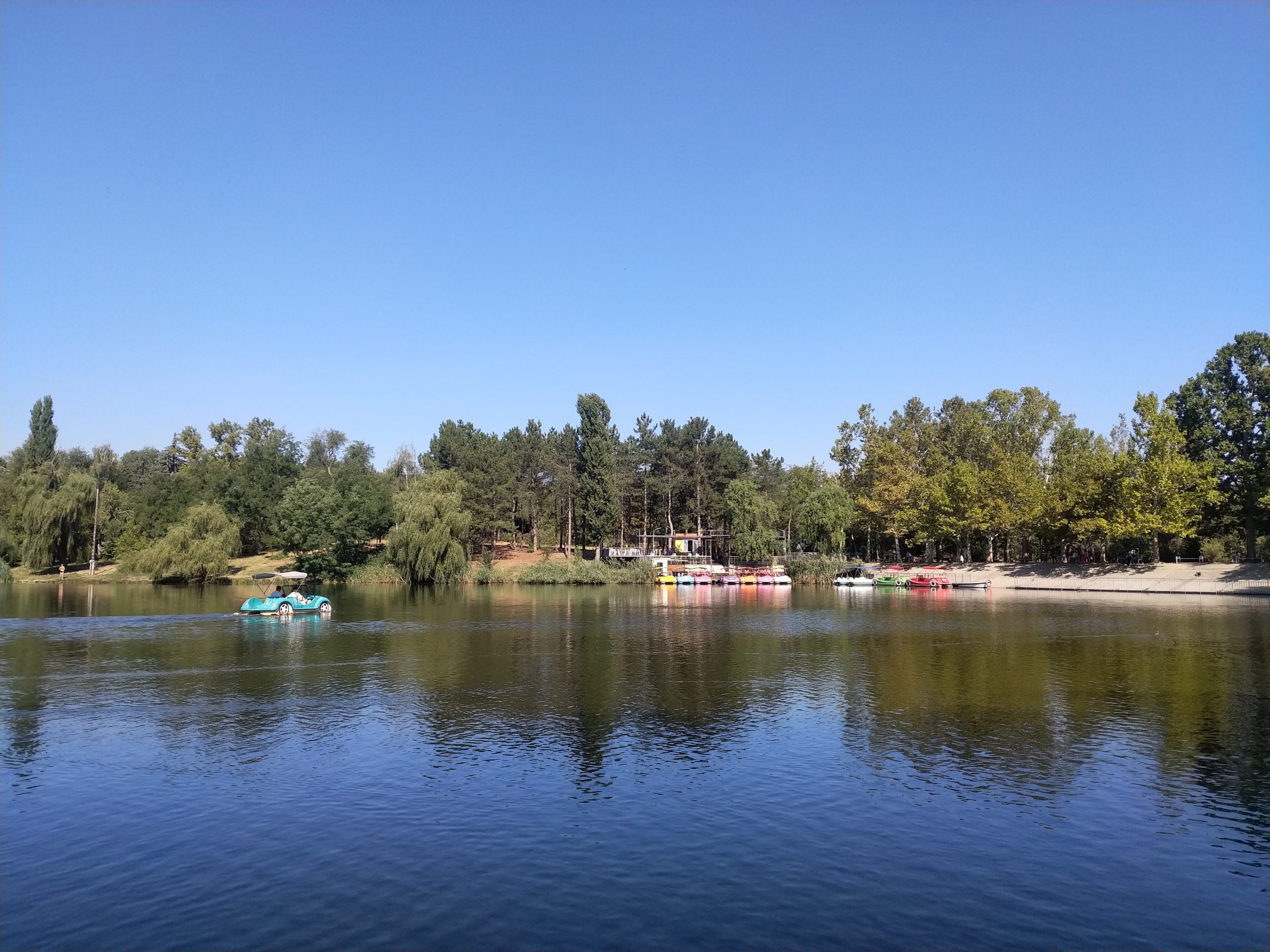 Un tânăr s-ar fi înecat în lacul din Parcul Valea Trandafirilor din capitală
