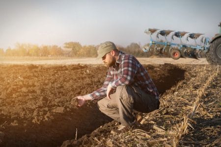 O companie producătoare de nutrețuri din Ungaria va colabora cu fermieri din Republica Moldova